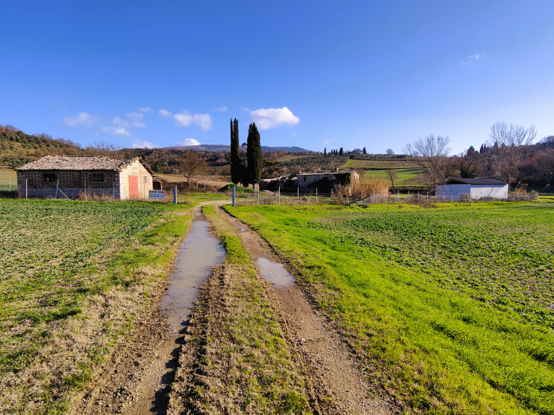 Tipologia Immobile: rustico/casale Provincia: perugia Comune: corciano Località: mantignana Indirizzo: Strada Provinciale di Colle del Cardinale