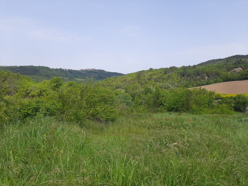 Tipologia Immobile: terreno agricolo Provincia: perugia Comune: gualdo cattaneo Località:  Indirizzo: