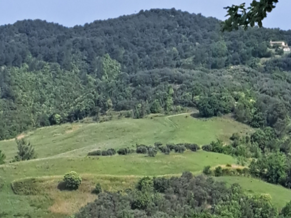 Tipologia Immobile: terreno agricolo Provincia: perugia Comune: gualdo cattaneo Località:  Indirizzo: