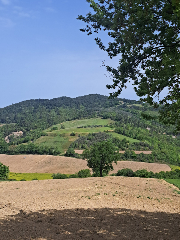 Tipologia Immobile: terreno agricolo Provincia: perugia Comune: gualdo cattaneo Località:  Indirizzo: