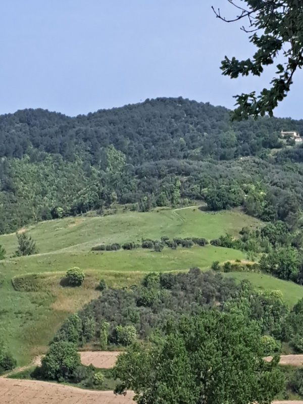 Tipologia Immobile: terreno agricolo Provincia: perugia Comune: gualdo cattaneo Località:  Indirizzo: