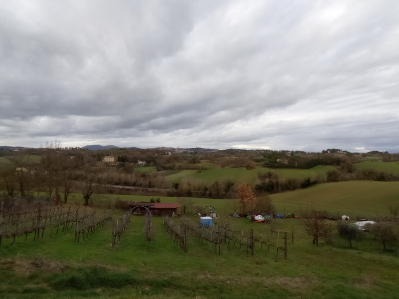 Tipologia Immobile: terreno agricolo Provincia: perugia Comune: perugia Località: san fortunato Indirizzo: Strada di Boneggio