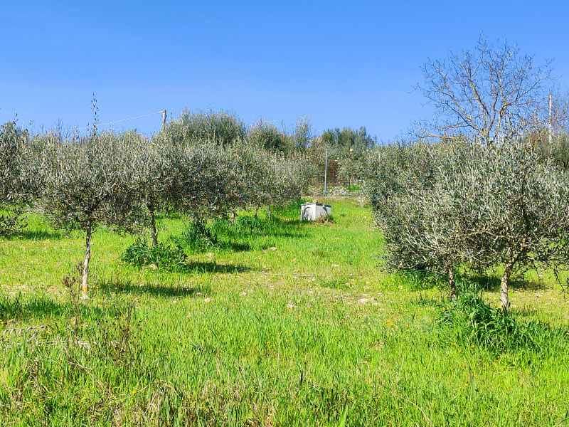 Tipologia Immobile: terreno agricolo Provincia: perugia Comune: perugia Località: san vetturino Indirizzo: Via Veio