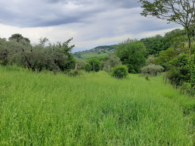 Tipologia Immobile: terreno agricolo Provincia: perugia Comune: perugia Località: monteluce Indirizzo: Rotonda Sant'Erminio