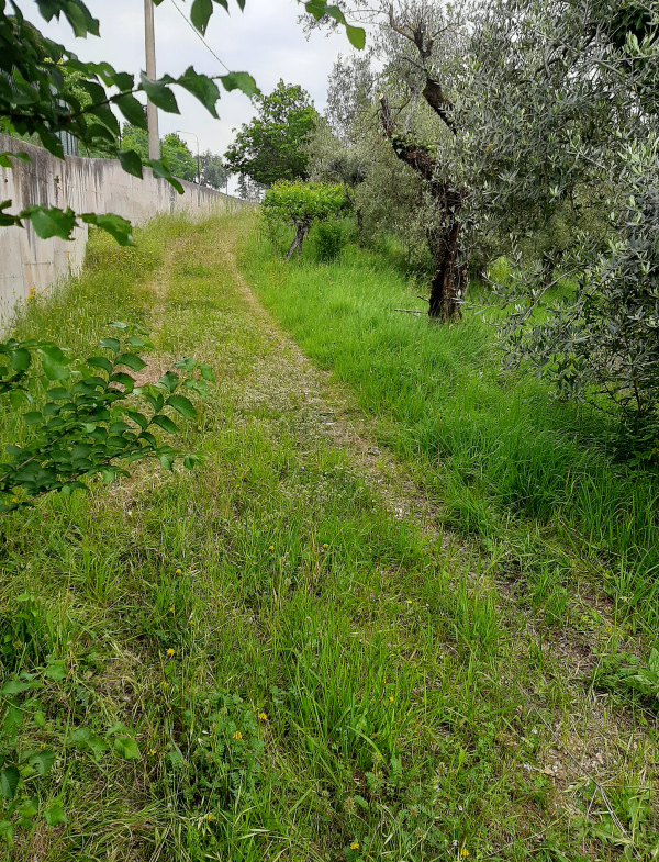 Tipologia Immobile: terreno agricolo Provincia: perugia Comune: perugia Località: monteluce Indirizzo: Rotonda Sant'Erminio