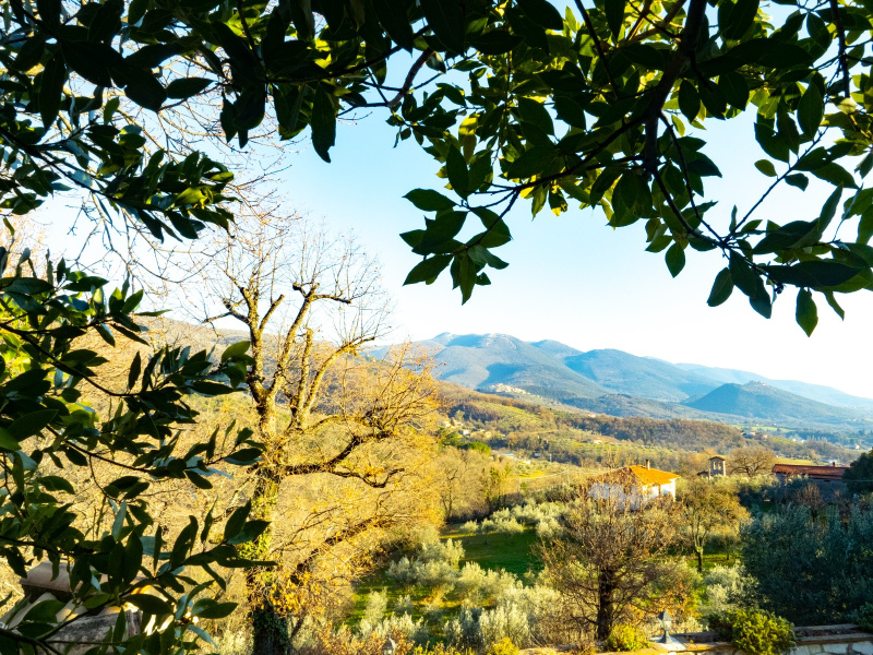 Tipologia Immobile: rustico/casale Provincia: rieti Comune: cottanello Località:  Indirizzo: Via Nocemonte