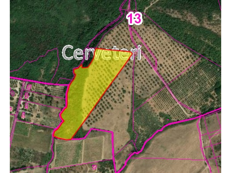 Tipologia Immobile: terreno agricolo Provincia: roma Comune: cerveteri Località: centro storico Indirizzo: Via Casale dell'Oliveto