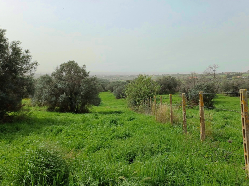 Tipologia Immobile: terreno agricolo Provincia: roma Comune: cerveteri Località: centro storico Indirizzo: Via Casale dell'Oliveto