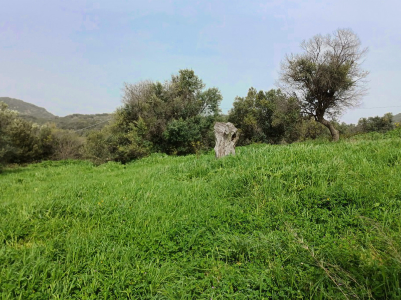 Tipologia Immobile: terreno agricolo Provincia: roma Comune: cerveteri Località: centro storico Indirizzo: Via Casale dell'Oliveto