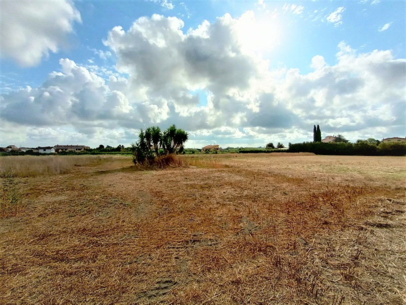 Tipologia Immobile: terreno agricolo Provincia: roma Comune: roma Località: ostia antica Indirizzo: Via Luigi Pernier