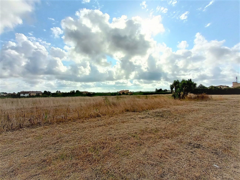 Tipologia Immobile: terreno agricolo Provincia: roma Comune: roma Località: ostia antica Indirizzo: Via Luigi Pernier