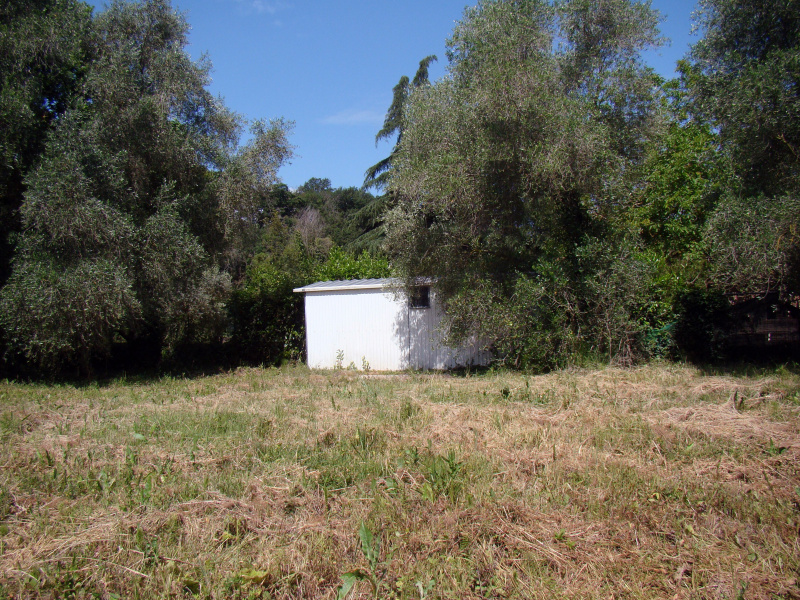 Tipologia Immobile: terreno agricolo Provincia: roma Comune: roma Località: selva candida Indirizzo: Via Lidia Bianchi