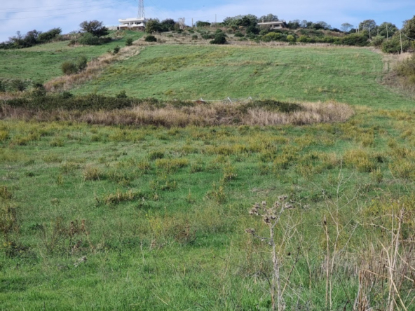 Tipologia Immobile: terreno agricolo Provincia: roma Comune: santa marinella Località: fiori Indirizzo: Via della Fornacetta