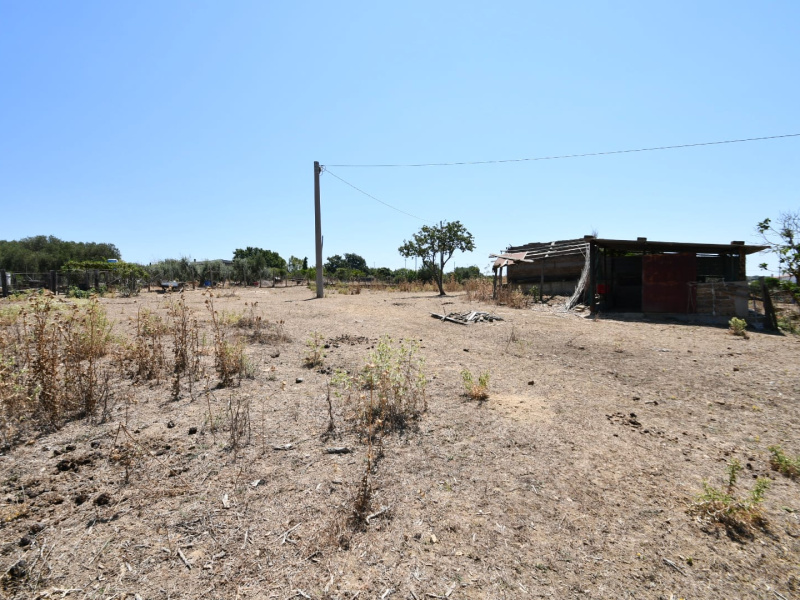 Tipologia Immobile: terreno agricolo Provincia: roma Comune: civitavecchia Località: campo dell'oro Indirizzo: Via Guastatori del Genio