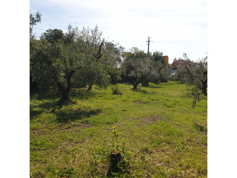 Tipologia Immobile: terreno edificabile Provincia: roma Comune: bracciano Località: castel giuliano Indirizzo: Via di Castelgiuliano