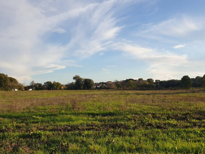 Tipologia Immobile: terreno agricolo Provincia: roma Comune: ardea Località: castagnetta Indirizzo: Via Laurentina