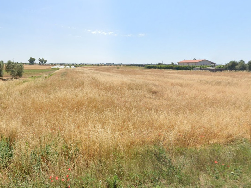 Tipologia Immobile: terreno agricolo Provincia: viterbo Comune: montalto di castro Località: paese Indirizzo: Strada Querciolare