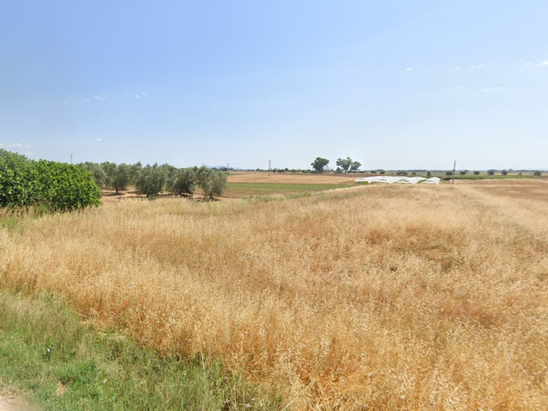 Tipologia Immobile: terreno agricolo Provincia: viterbo Comune: montalto di castro Località: paese Indirizzo: Strada Querciolare