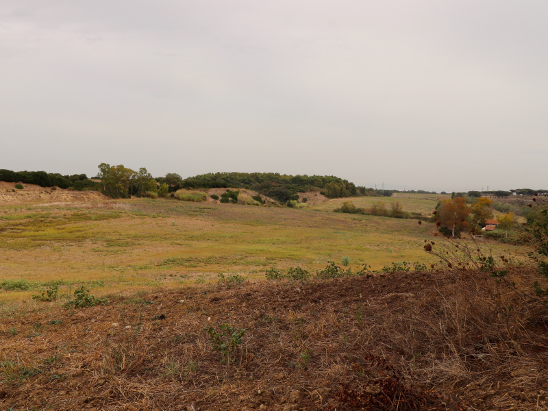 Tipologia Immobile: terreno agricolo Provincia: roma Comune: roma Località: muratella Indirizzo: Via di Monte Carnevale