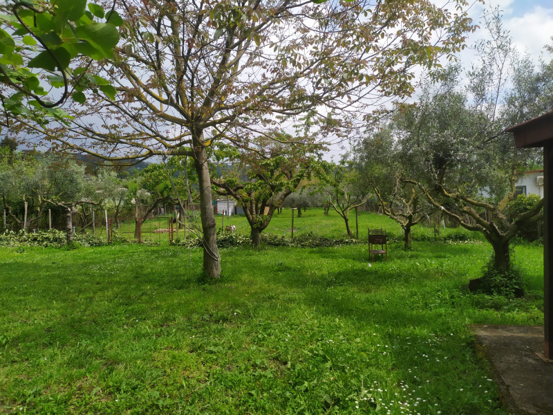 Tipologia Immobile: terreno agricolo Provincia: roma Comune: ariccia Località:  Indirizzo: Via di Mezzo