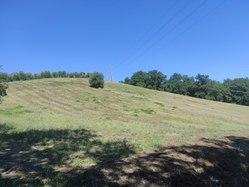 Tipologia Immobile: terreno agricolo Provincia: roma Comune: fonte nuova Località: santa lucia Indirizzo: Via Molise