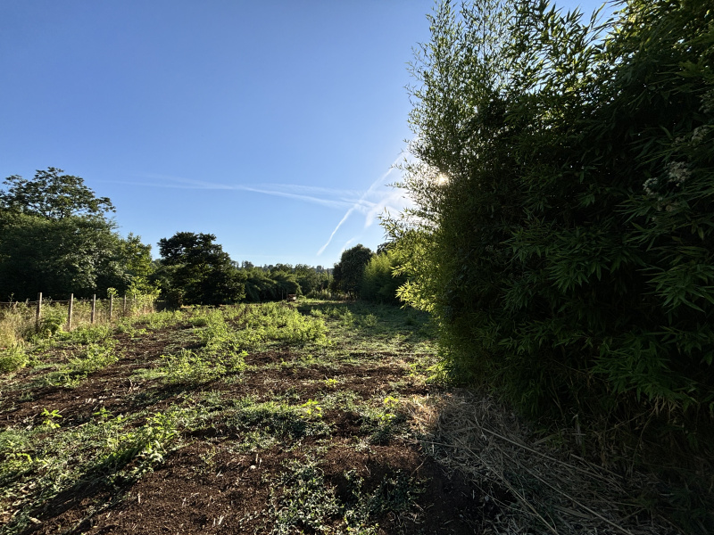 Tipologia Immobile: terreno agricolo Provincia: roma Comune: gallicano nel lazio Località:  Indirizzo: Via Val Pantano Prima