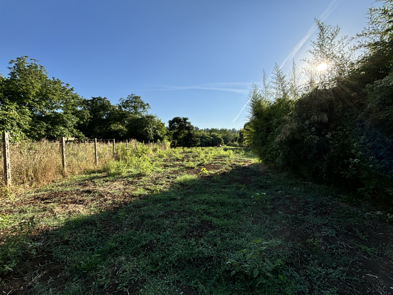 Tipologia Immobile: terreno agricolo Provincia: roma Comune: gallicano nel lazio Località:  Indirizzo: Via Val Pantano Prima