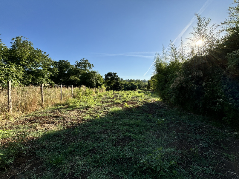 Tipologia Immobile: terreno agricolo Provincia: roma Comune: gallicano nel lazio Località:  Indirizzo: Via Val Pantano Prima