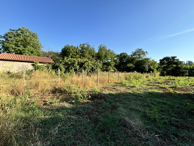 Tipologia Immobile: terreno agricolo Provincia: roma Comune: gallicano nel lazio Località:  Indirizzo: Via Val Pantano Prima