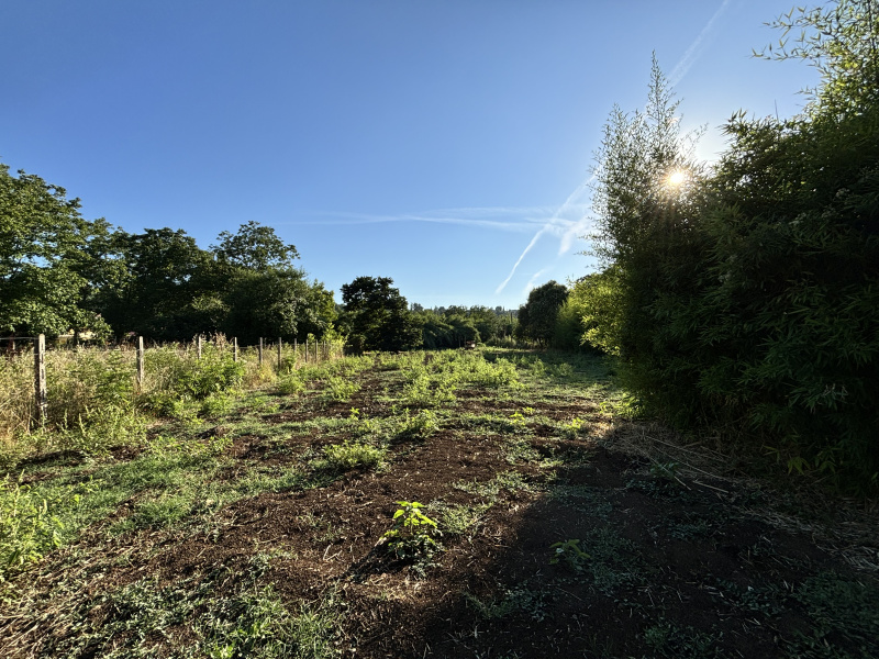 Tipologia Immobile: terreno agricolo Provincia: roma Comune: gallicano nel lazio Località:  Indirizzo: Via Val Pantano Prima