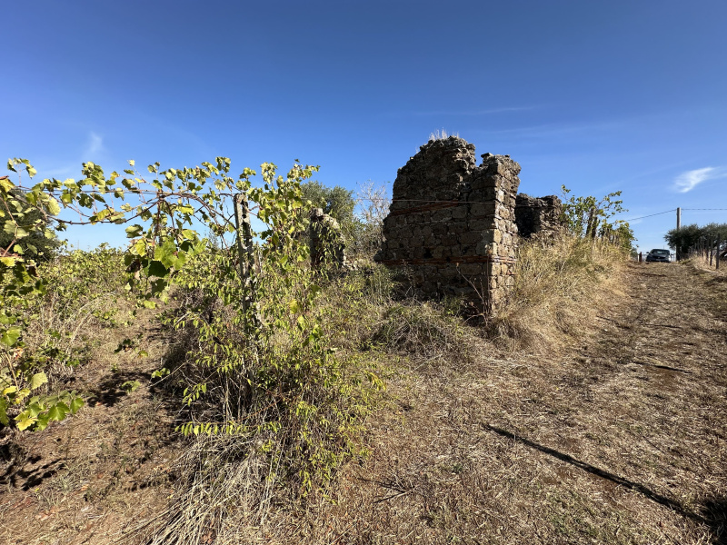 Tipologia Immobile: terreno agricolo Provincia: roma Comune: lanuvio Località:  Indirizzo: Via Scassati