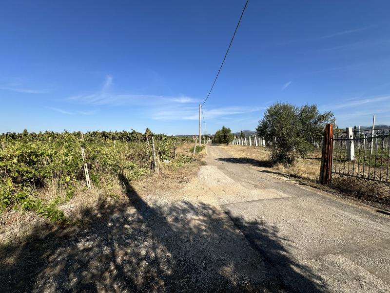 Tipologia Immobile: terreno agricolo Provincia: roma Comune: lanuvio Località:  Indirizzo: Via Scassati