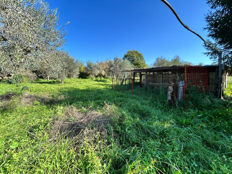 Tipologia Immobile: terreno agricolo Provincia: roma Comune: ariccia Località:  Indirizzo: Via delle Grotte