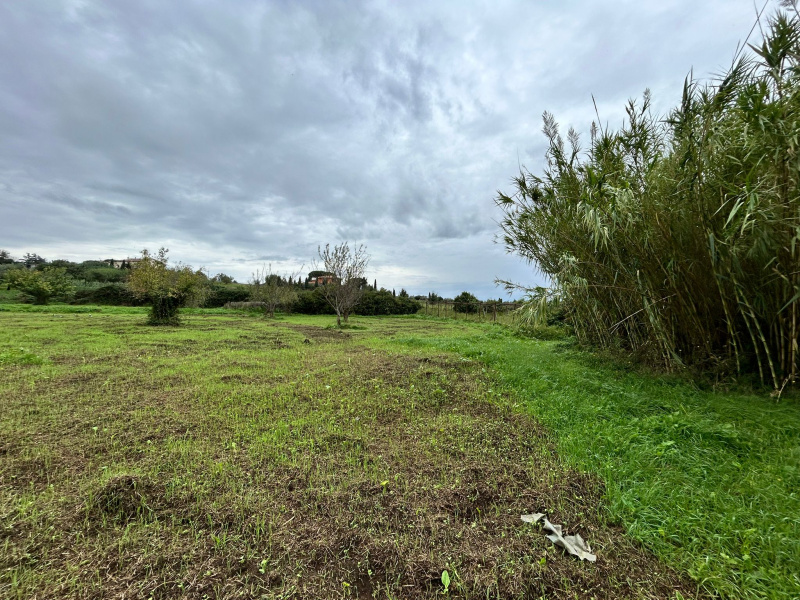 Tipologia Immobile: terreno agricolo Provincia: roma Comune: marino Località: castelluccia Indirizzo: Marino Laziale